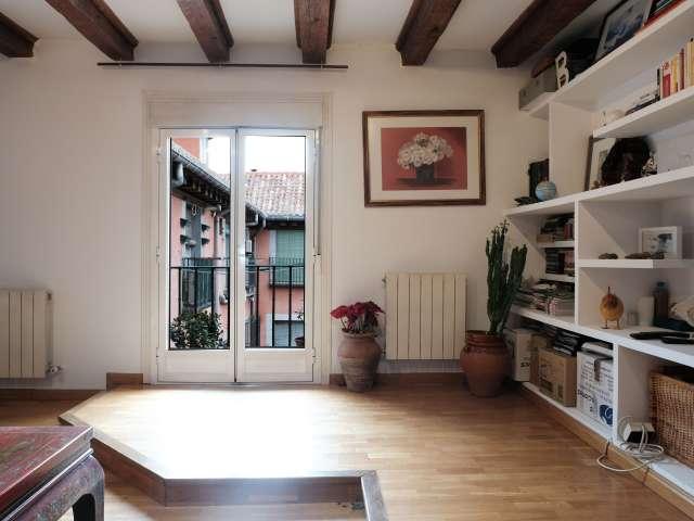 Precioso apartamento de 2 dormitorios en alquiler, La Latina, Madrid
