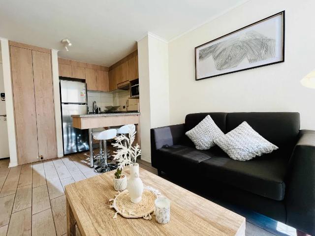 Precioso Depto 1d1b Full Amoblado Barrio Yungay
