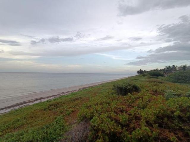 Precioso Departamento en San Crisanto a estrenar