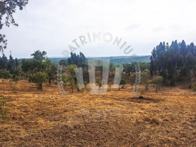 Prédio Misto em São Bartolomeu da Serra com 10 ha
