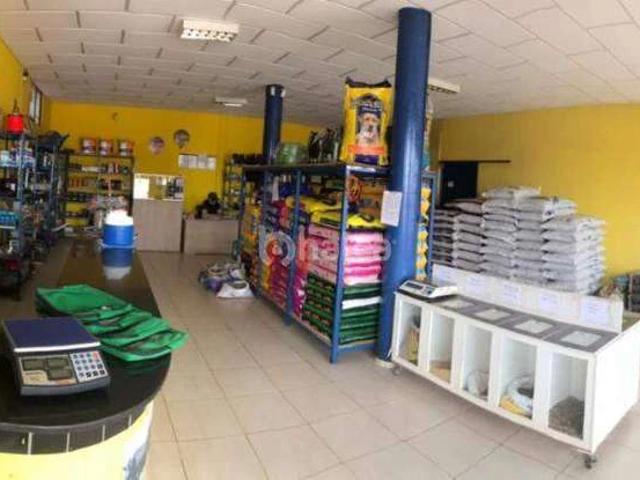 Prédio para Venda em Timon/MA Parque União 3 Quartos