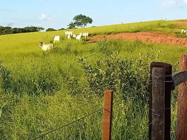 Prédio para Venda em Avaí/SP Zona Rural