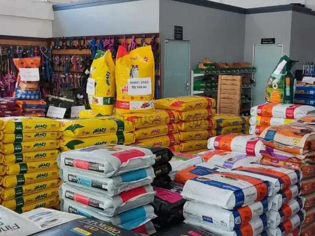 Prédio para Venda em Lucas do Rio Verde/MT Jardim Das Palmeiras 2 Quartos