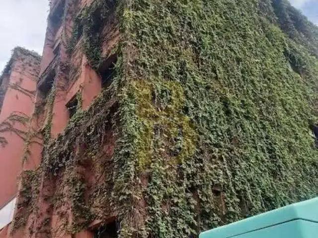 Prédio para Venda em São Paulo/SP Vila Hamburguesa