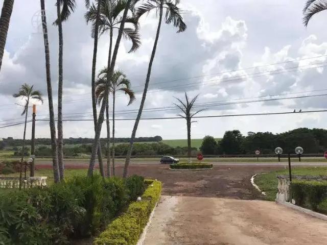 Prédio para Locação em Ribeirão Preto/SP Engenheiro Carlos de Lacerda Chaves 43 Quartos