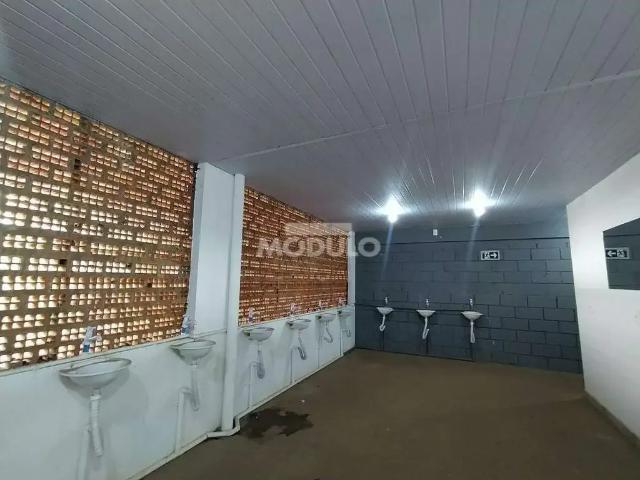 Prédio para Locação em Uberlândia/MG Bom Jesus 50 Quartos