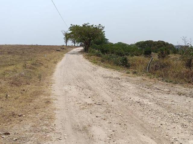 PREDIO RÚSTICO EN VENTA L 44 EN LOS TOLENTINOS, LOC. DE LA AURORA, MUNICIPIO EMILIANO ZAPATA, VER