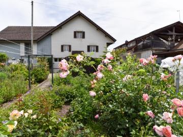 Preiswertes Haus zum Renovieren an zentraler Lage