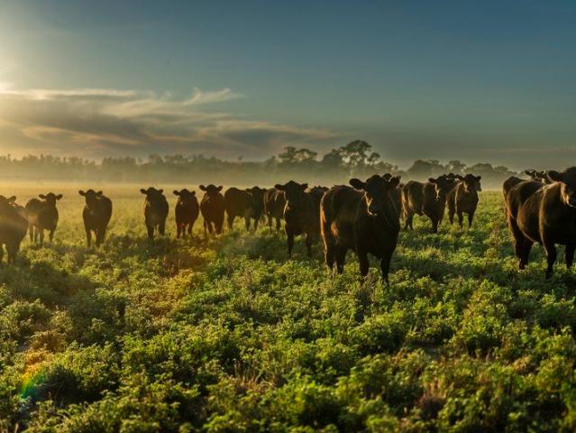 Premier Agricultural Powerhouse on the Macquarie River