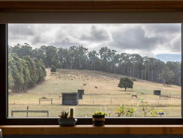 Complete Rural Lifestyle with Elite Horse Facilities