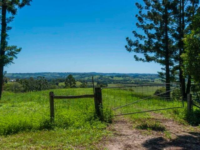 Premier Home Site With Elevation & Amazing Views