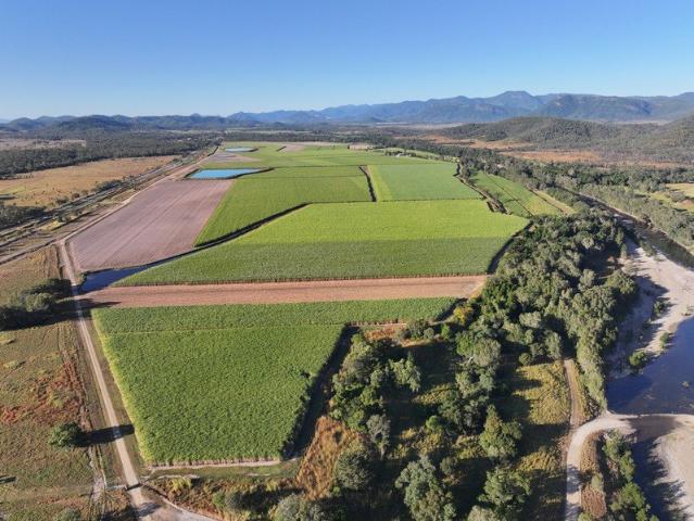 Premier Irrigated Cane Enterprise Land, Water, Home & Plant Included!