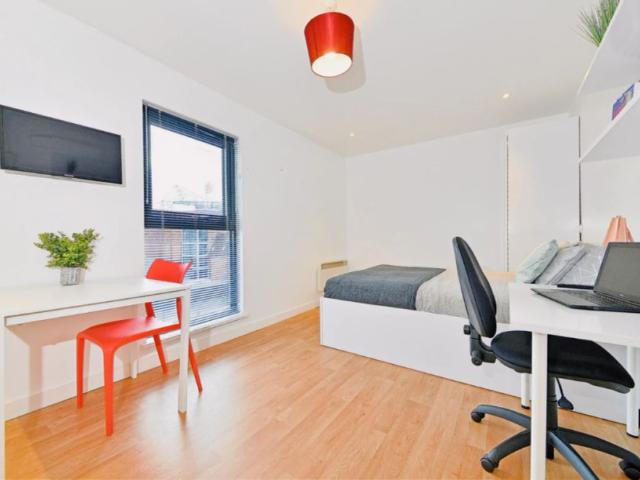 Premier Luxe Studio