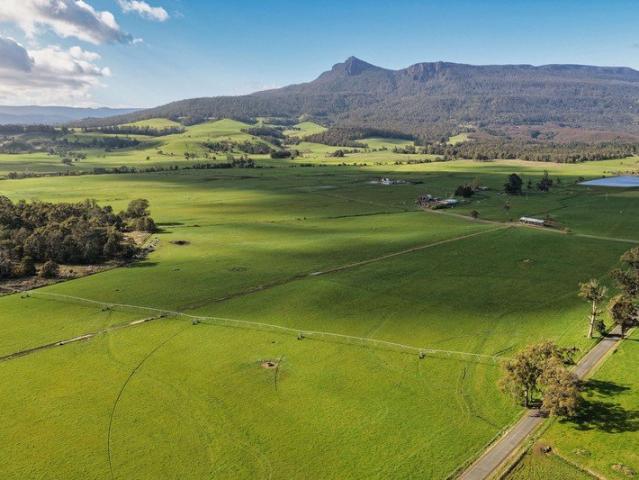 Premier Large Scale Dairy Opportunity in the Meander Valley