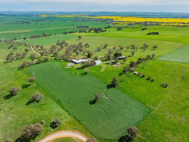 Premier Rural Lifestyle with Impressive Family Home