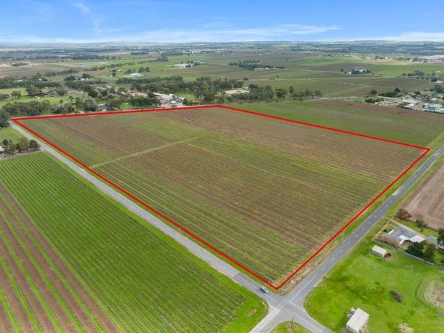 Premiere Vineyard in a Prime Valley Floor Location