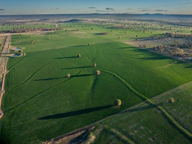 Highly productive Sheep & Cropping Property