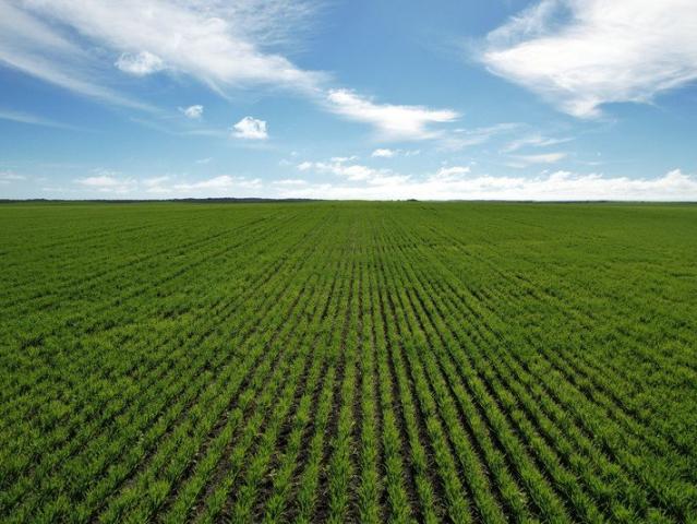 Premium Mixed Farming Opportunity on the Yorke Peninsula