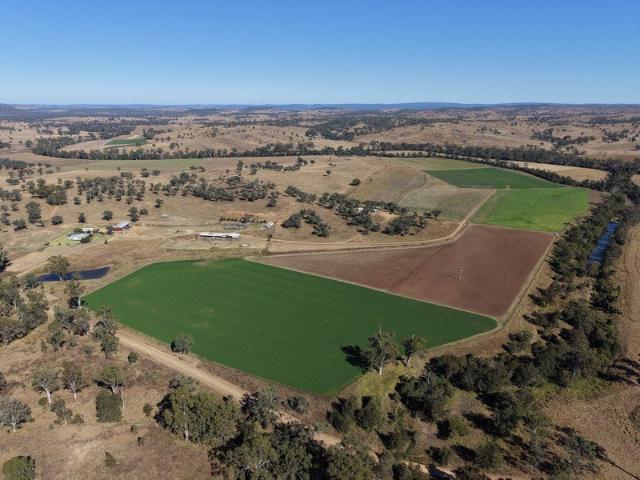 Premium Mixed Farming with Unmetered Irrigation