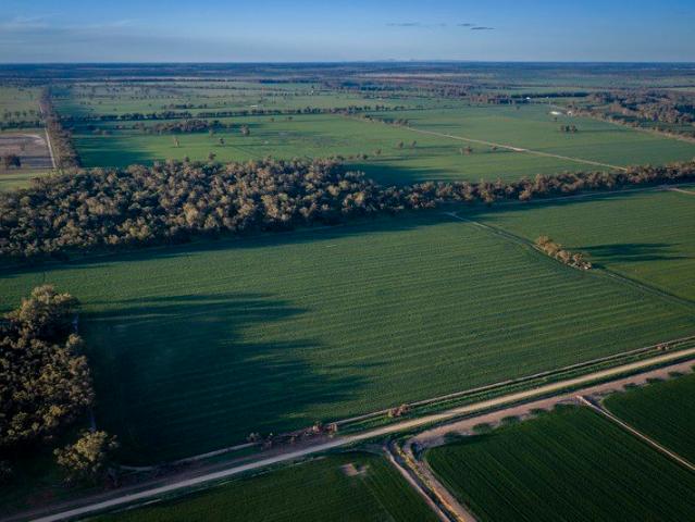 Premium Narromine River Country Three Outstanding Parcels