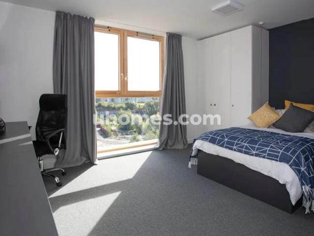 Premium Accessible Studio