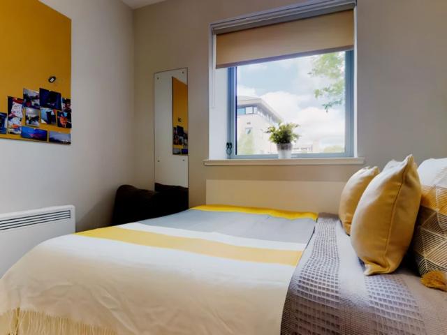Premium Accessible Studio