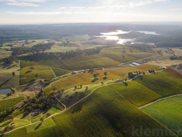 Premium Adelaide Hills vineyard | Kersbrook | 79.76 ha holding