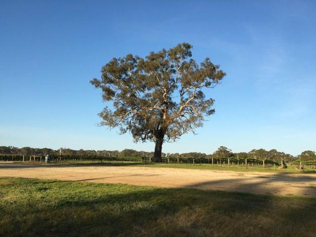 Premium Agricultural Land