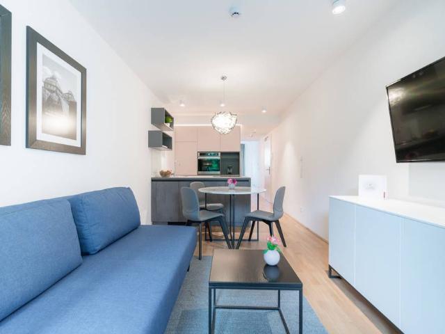 Premium business apartment with air conditioning and private terrace