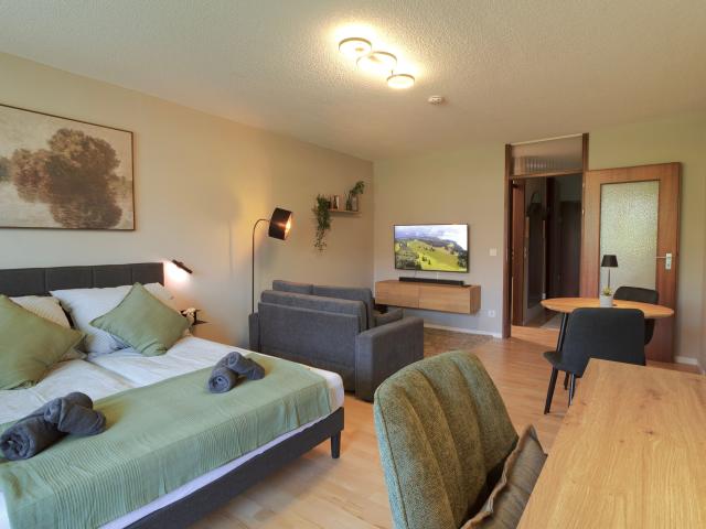 Premium Business Apartment at Freiburg Main Station | Quiet Courtyard · Home Office · Underground Parking