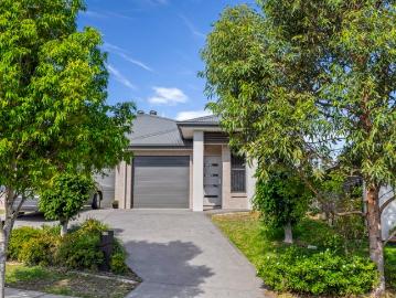 Cockle Creek, Newcastle - Garden