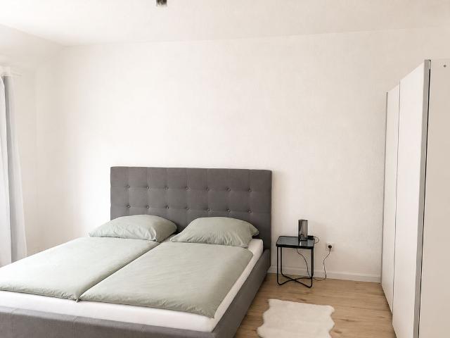 Premium Furnished City Center Apartment in Mannheim T6 – 53 sqm, Newly Renovated, Home Office & Free WiFi for up to 3 people