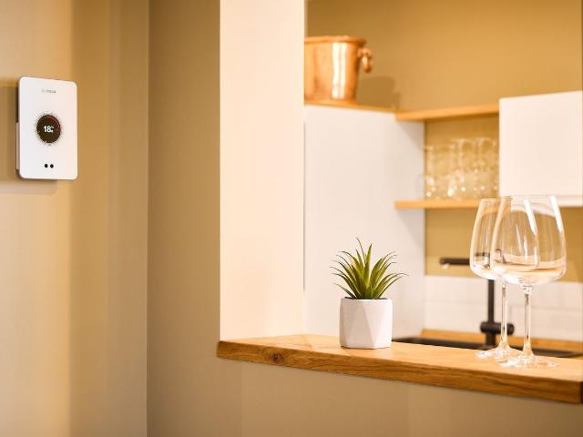 Premium furnished: quiet 3 bedroom apartment with view of the Red Bull Arena fully equipped kitchen, air conditioning, washing machine, Leipzig Amsterdam Apartments for Rent