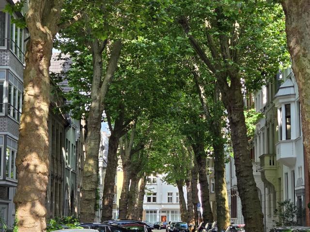 Premium Furnished Studio in Düsseldorf Oberkassel – All Inclusive, Close to Metro & Ready to Move In, Dusseldorf Amsterdam Apartments for Rent