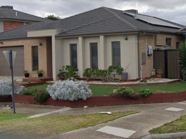 Premium Family Living Overlooking the Reserve