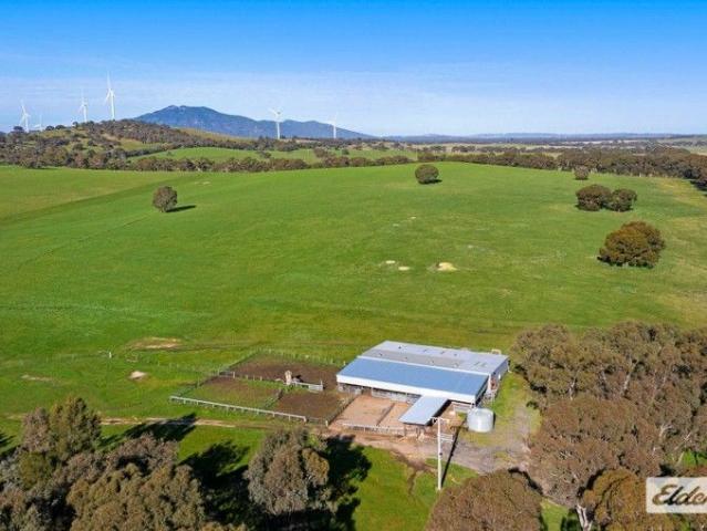 Premium Grazing Opportunity with Infrastructure