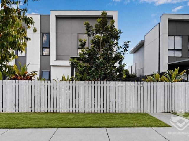Premium House Sized Living in the Heart of Kenmore