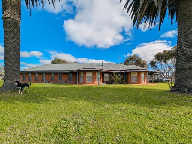 Premium Irrigation Enterprise with Two Titles, Two Homes & Outstanding Development Potential inc. 180 megs of G/S water entitlement