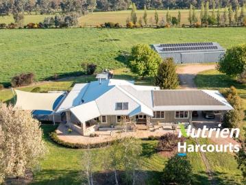 Premium Lifestyle Opportunity