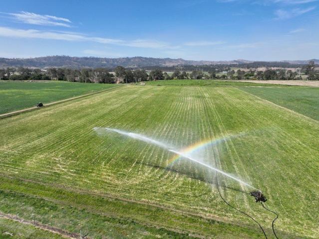 Premium Logan River Lifestyle Holding with Secure Water
