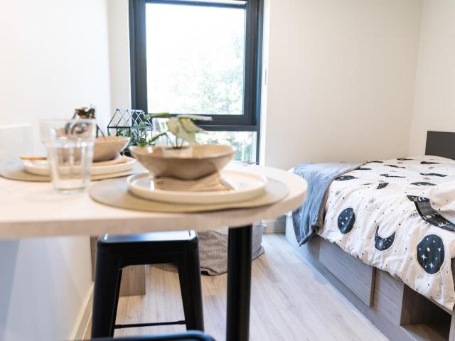 Premium Plus Studio at Stanley. Studio to rent £1,018 pcm £235 pw