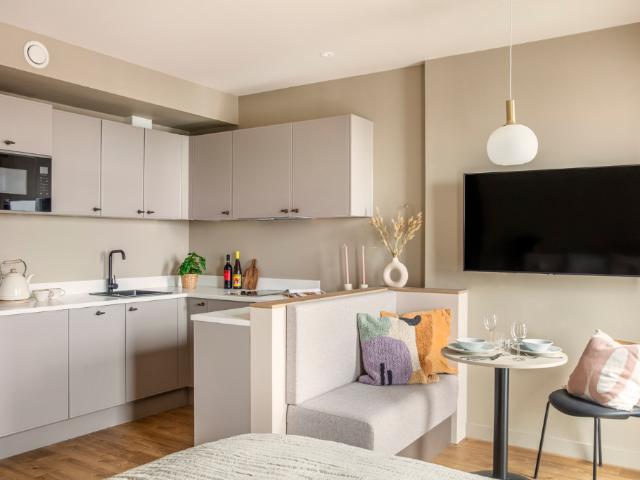 Premium Plus Studio at Wembley. Studio to rent £2,099 pcm £484 pw