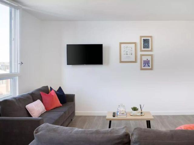 Premium Plus Studio