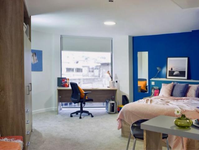 Premium Plus Studio
