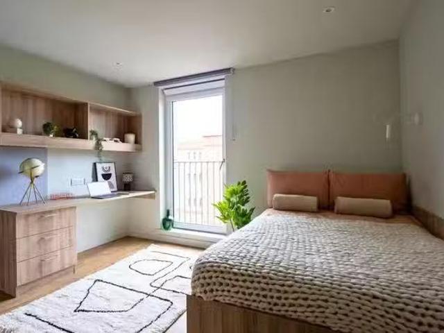Premium Plus Studio