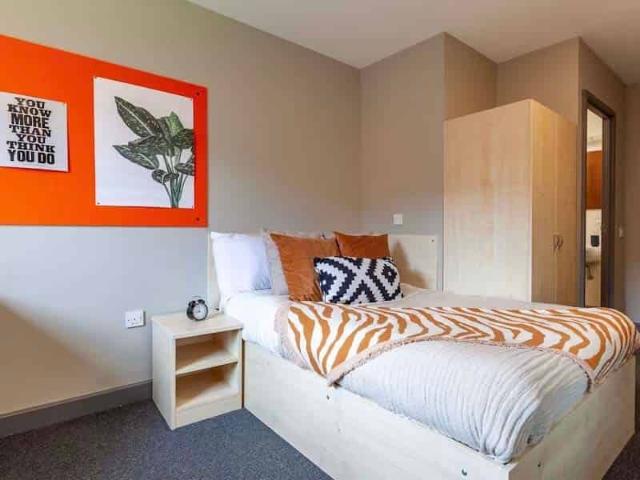 Premium Plus Studio