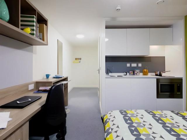Premium Plus Studio