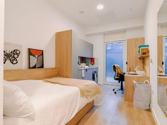 Premium Plus Studio