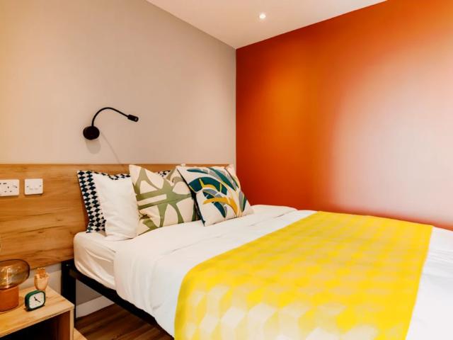 Premium Plus Studio