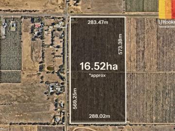 Premium Rural Holding with Vineyard & Tourism Potential